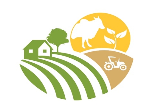 Obra foi lançada em julho durante o III Dia de Campo na Fazenda da Ufopa