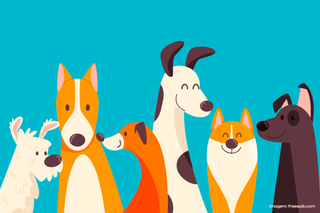 Ação ocorrerá no sábado, 6 de dezembro, das 8h30 às 14h, na Igreja de Deus no Brasil.