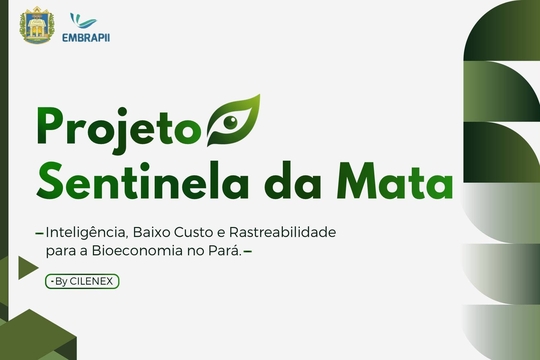 A iniciativa fortalece a proteção territorial, combate práticas ilegais e assegura a rastreabilidade da produção