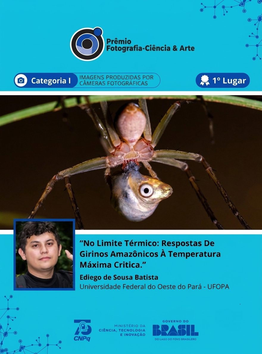 /media/file/site/ufopa/imagens/2026/674cabae-9d37-424f-a3b7-ab03a35dceea.png