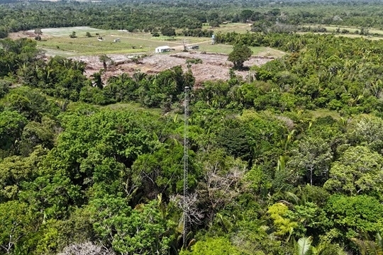 Universidade é a única da Amazônia a integrar rede de pesquisa sobre fluxos de carbono